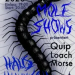 MoleShows Konzert: Quip, Loach, Morse