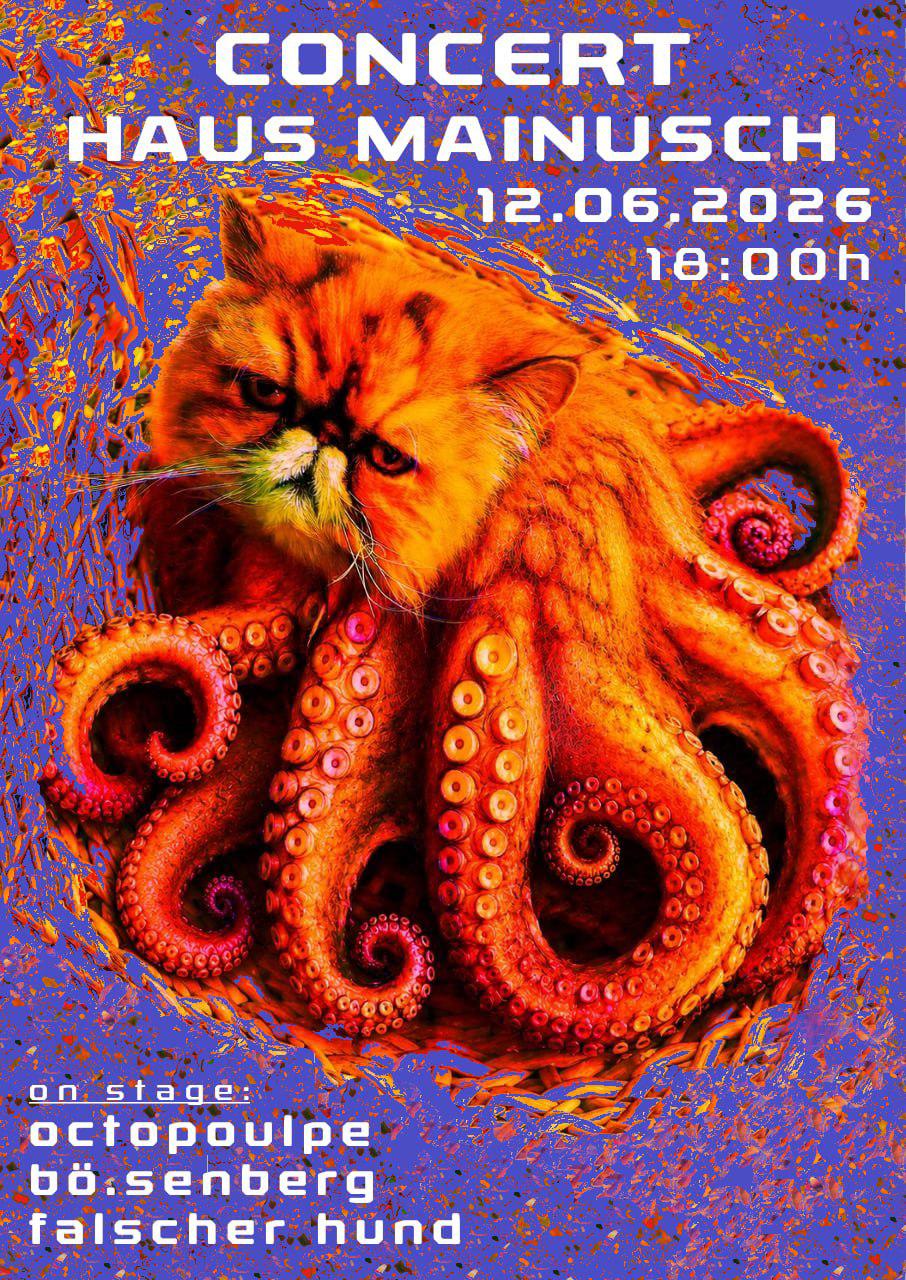 Octopoulpe // Bö.senberg // Falscher Hund // Konzert